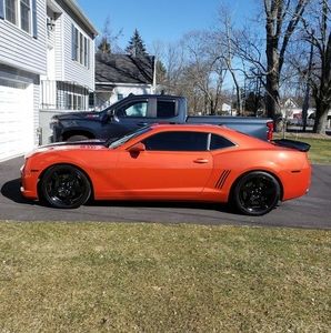 Meet your Posher, Paul